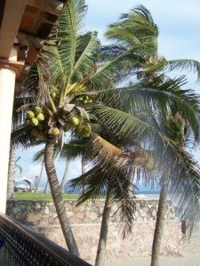 Vacation Getaway for Two Vacation Getaway for Two