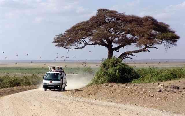 Kenya Eco-Safari