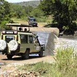 Tanzania African Safari
