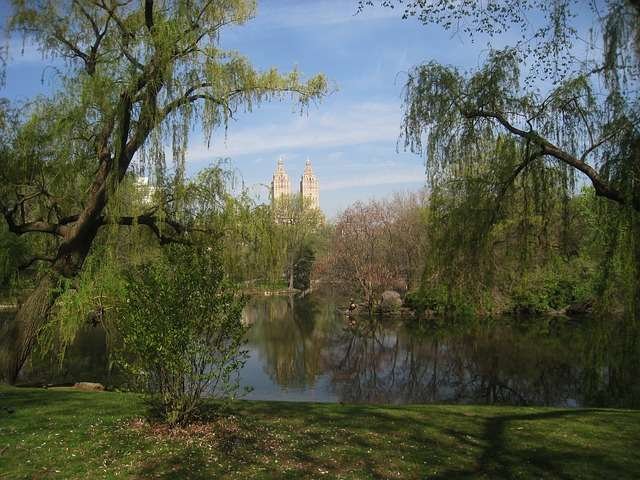Central Park