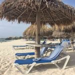 Palapa Aruba