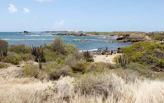Martinique Caribbean Family Travel Tips