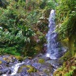 Pittier Park Costa Rica