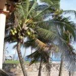 vacation getaway