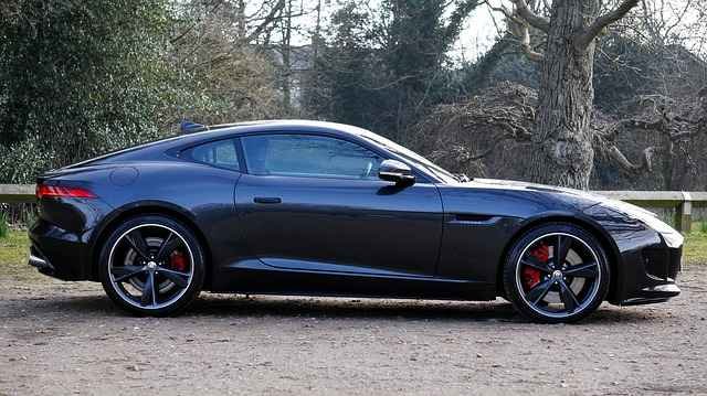 jaguar